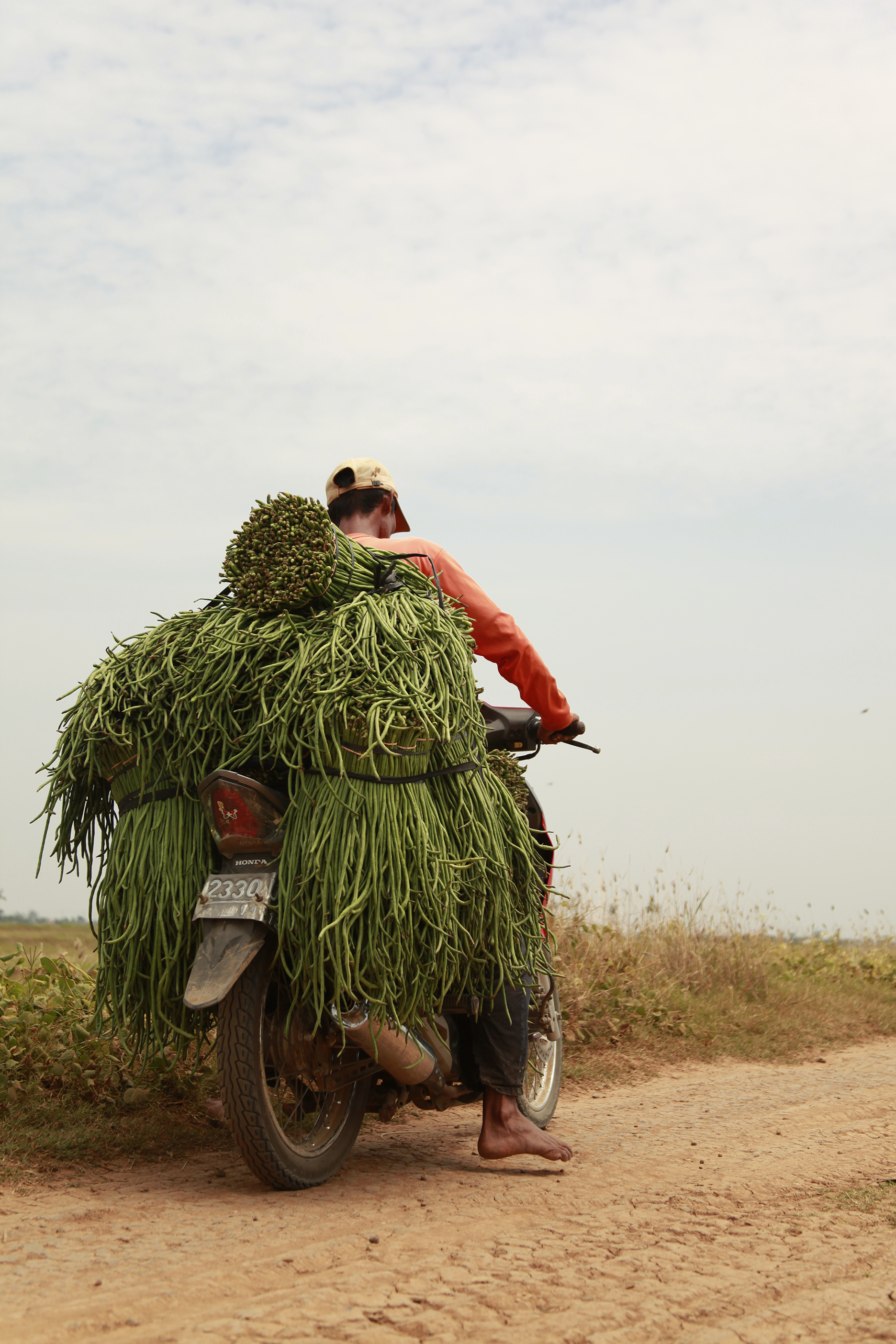 Farmer, Indonesia
